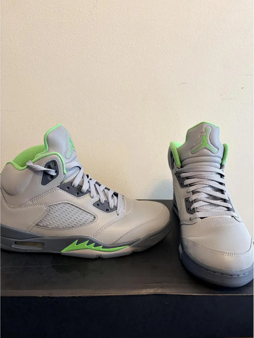 Air Jordan 5 Retro Green Bean Silver/Grey Shoe (Size 10.5)